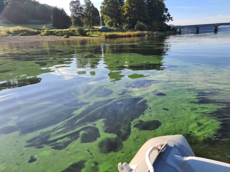 Lake Water Quality Monitoring